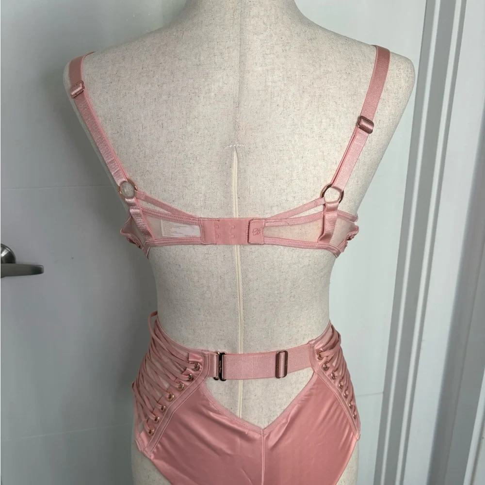 Honey Birdette Jerry Bra, Brief, and garter Blush Pink Bra Full Set - Picture 3 of 12